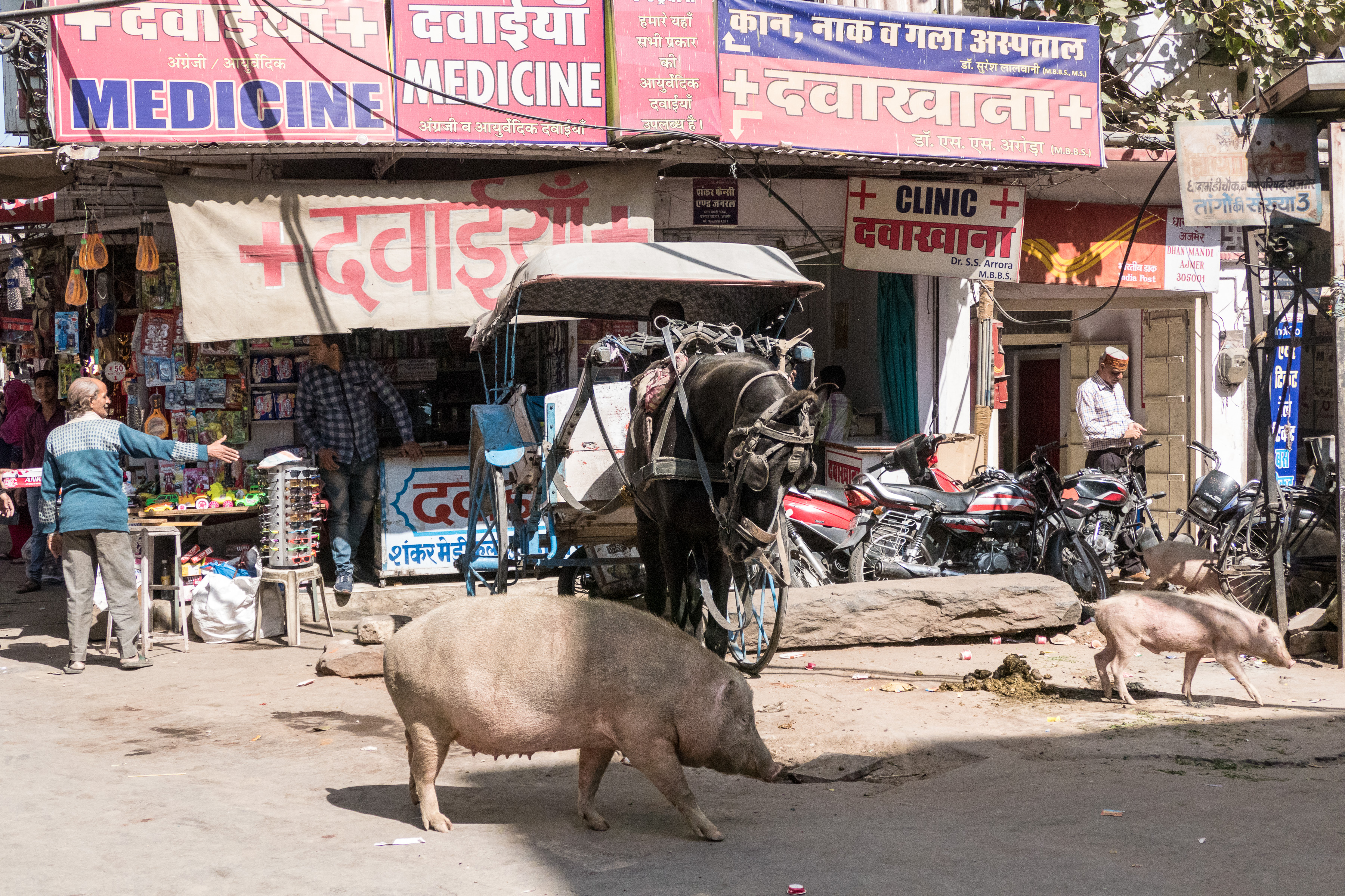 Ajmer
